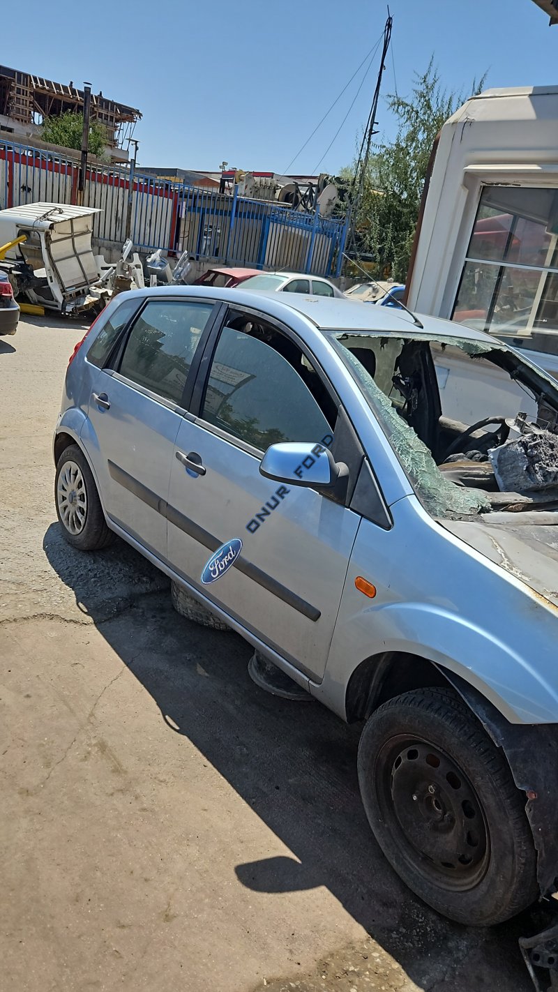 ford fiesta kapı